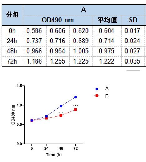 MTT檢測