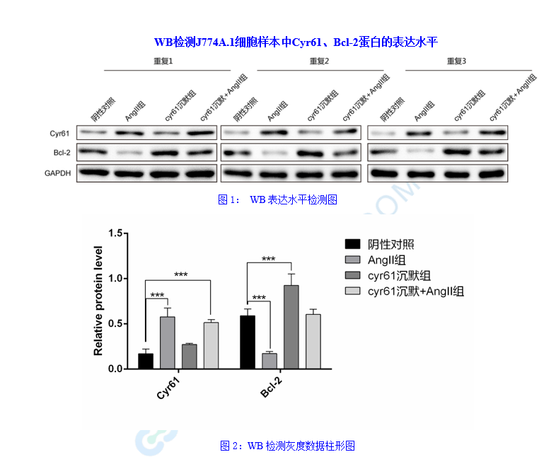 wb實(shí)驗(yàn)案例