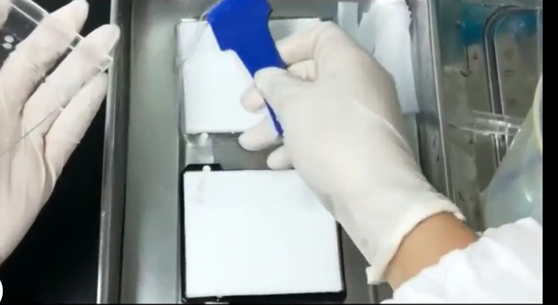 wb檢測(cè) 轉(zhuǎn)膜