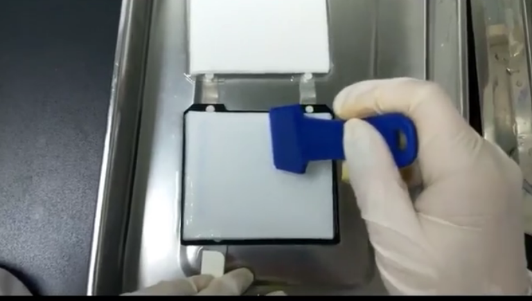 wb檢測(cè) 轉(zhuǎn)膜