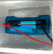 wb檢測(cè) 轉(zhuǎn)膜