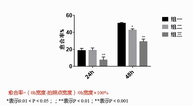細(xì)胞劃痕5.jpg