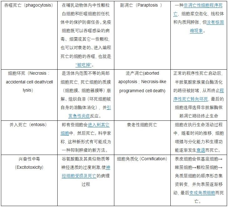 官網(wǎng)2.jpg